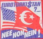 Das Motiv ist das Cover eines Rechtsrock Samplers aus den Niederlanden, der sich gegen den EU-Beitritt der Türkei richtet. Auf dieser CD befindet sich z.b. ein Lied von der Band Brigade M.