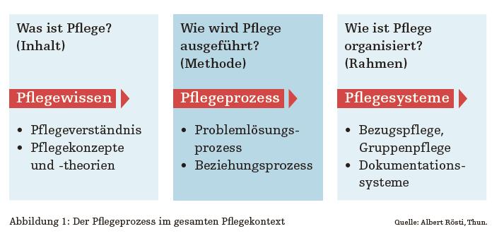 Pflegeprozess als Methode professioneller Pflegearbeit Verbund HF Pflege (Hrsg.): Pflegeprozess, 2. Aufl.