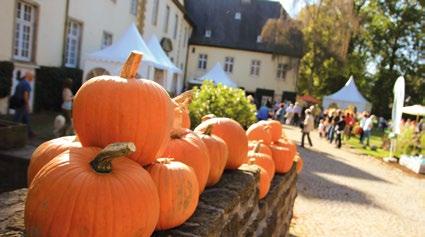 Anzeige Indian Summer auf Schloss Wocklum Herbstliche Landpartie vom 30. September bis 3. Oktober mit mehr als 100 Aus Balve.