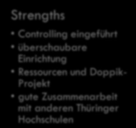 11 Hagen Hausbrandt Strengths Controlling eingeführt überschaubare