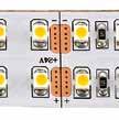 28,8 W/m - IP20 Doppel LED-Streifen Hoher CRI-Wert > 95 LED/m Lmen/m NEU 3528 240 2.880 Artikelnmmer Rollenlänge Watt/m Volt Lichtfarbe Lmen/m LED/m LED/Rolle LED-Abstand Breite trennbar max.