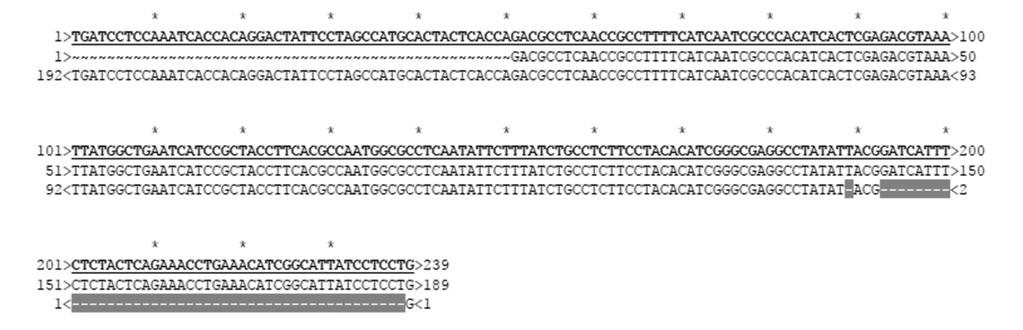 Anhang Tabelle 29: Mittels LinReg PCR ermittelte Effizienzen der PCR zur Optimierung der Kopienzahlbestimmung. Ein Großteil der Werte wurde manuell basislinienkorrigiert.
