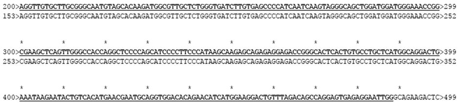 Anhang Bioinformatische Netzwerkmodellierung 2 Positivkontrolle NTC C/C A/C A/A Allel C FI 1 0 0,0 0,2 0,4 0,6 0,8 1,0 1,2 1,4 1,6 Allel A FI Abbildung 64: HSD17B1-Genotypisierung aller