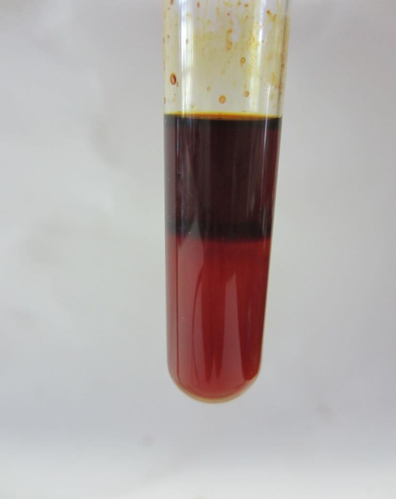 Abb. 9 Die Violettfärbung zeigt Peroxide an. Deutung: Kaliumiodid und Salzsäure dissoziieren in Wasser.