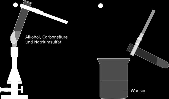 Durchführung: 3 ml eines Alkohols werden mit 3 ml einer Carbonsäure in ein Reagenzglas gemischt und mit einem Spatel Natriumsulfat versetzt.