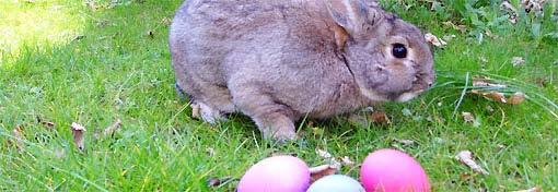 April 2014 14 Ostern Ausblick Osterbräuche: Von Kerzen und Feuern, Hasen und Eiern Gesucht wird: das Ei. Nicht irgendeins, kein gewöhnliches, sondern ein einmaliges und auffälliges Ei - das Osterei.