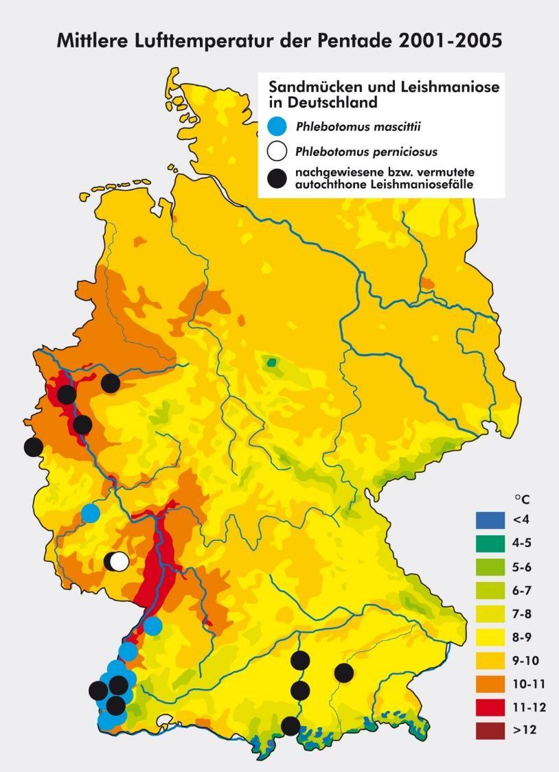Verbreitung von Leishmaniose und Sandmücken in Deutschland 13 Leishmaniose-Fälle in Deutschland seit 1991