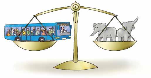 Wie schwer ist ein Bus? Ein Elefant bringt ein Viertel des Gewichts eines Busses auf die Waage.