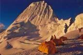 VOR Dienstag, 23. Oktober 2007 Ulrich Blasczyk: Alpamayo - Expedition zum "schönsten Berg der Welt" Die fast 6.