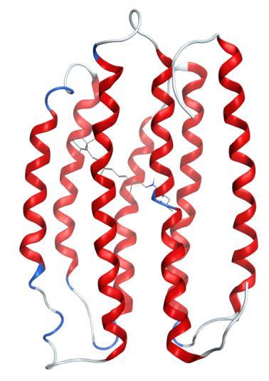 Proteorhodopsin 7 α-helicales Transmembranprotein Von Retinal abhängiges Protein Vorkommen in Bakterien, Archaeen und Eukaryoten Lichtabhängige Protonenpumpe Retinal