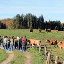 Im Haus der Bayerischen Landwirtschaft in Herrsching am wunderschönen Ammersee empfingen die Verbände Biokreis und Bioland rund 100 Personen zur zweiten Fleischrinderund Mutterkuhtagung für die