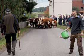 Mitgliedschaften in einem Verband und im Verein Rhöner Biosphärenrind e.v. sind Voraussetzungen, um an dem Vertrag mit tegut zur Lieferung von Rindfleisch aus der Rhön zu partizipieren.