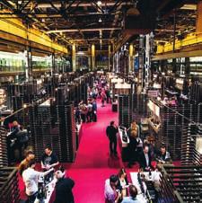.2.2018 Über 250 Produzenten zeigen in Zürich ihre besten Tropfen allesamt von Weinkritiker Robert