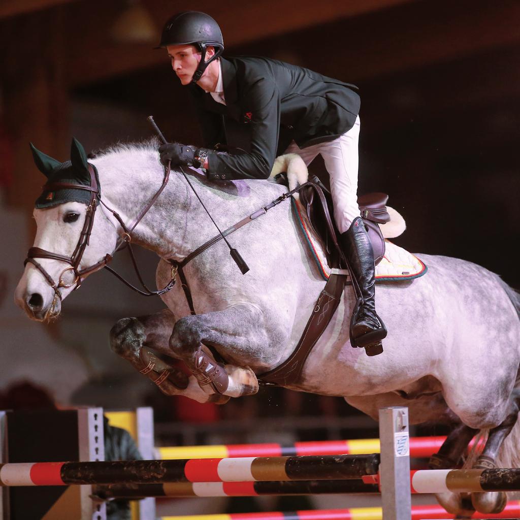 Coupe de Alb OS International Schimmel Stckm. 170 cm *2008 Zugelassen für: Mecklenburg-Vorpommern, OS-Intern., alle süddt.