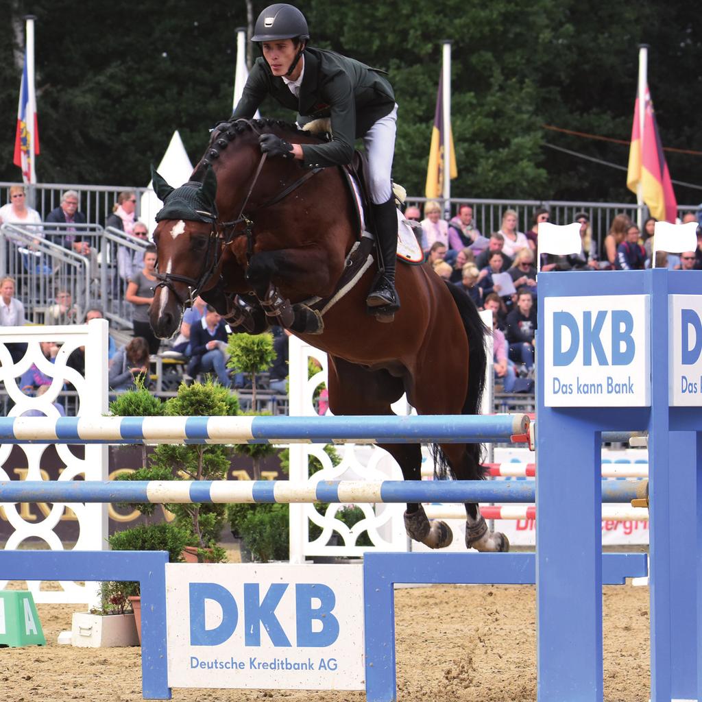 Mister Albführen ist ein typstarker und ehrgeiziger Parcourssportler mit überragenden Möglichkeiten am Sprung. Seine Eigenleistung als 5j.