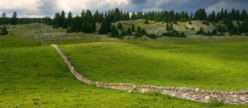 6. Landschaftsqualitätsbeiträge Keine Beschränkung auf 1 Projekt pro Kanton im Jahr 2014 Höchstbegrenzung der Beiträge pro Kanton auf CHF 120.- / ha LN und CHF 80.