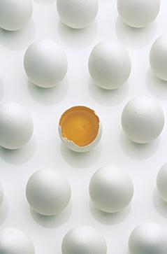 MARKT UND VERBRAUCH Von den fast 19 Milliarden in Deutschland verbrauchten Eiern pro Jahr kommen rund 70 Prozent aus einheimischen Betrieben; den Rest liefern vor allem die Niederlande.
