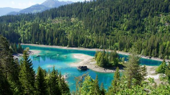 Flims Laax Falera: Erleben Sie Wintersport und Sommerfrische! Im Winter lockt Flims Laax Falera die Ski- und Snowboardfahrer in eines der grössten zusammenhängenden Schnee-Resorts der Alpen.