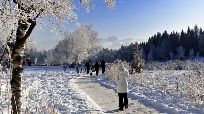 Nicht nur in den Sommermonaten ist die Olympiaregion Seefeld ein beliebtes Wanderziel: 142 Kilometer geräumte und gestreute Wanderwege, eingebettet in eine mächtige Bergkulisse, begeistern auch im