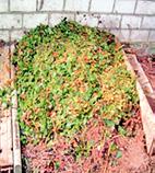 Durch die Zugabe von Boden FIT werden die Kompostiervorgänge intensiviert, so dass unter Umständen eine schnellere Zersetzung eintritt.