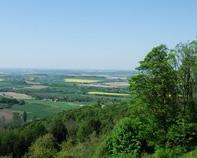 Der Privatwaldanteil im Landkreis teilt sich in 4.100 Hektar Großprivatwald mit eigener Verwaltung und 7.100 Hektar Kleinprivatwald von rund 2.