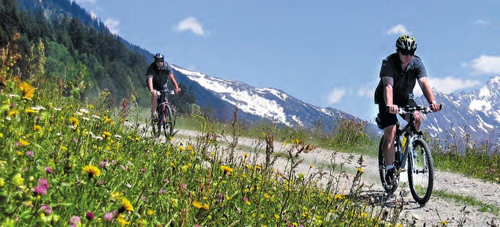 Unberührte Tiroler Natur, gesunde Höhenluft und der Weg zum Gipfel unterschiedliche Schwierigkeitsgrade vom gemütlichen Spaziergang zum fordernden Aufstieg ziehen jedes Jahr unzählige Wanderfans in