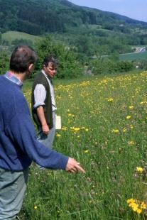 support of species rich grassland result-orientated Procedure for registration in the countryside inspection on an diagonal through the parcel (transect)