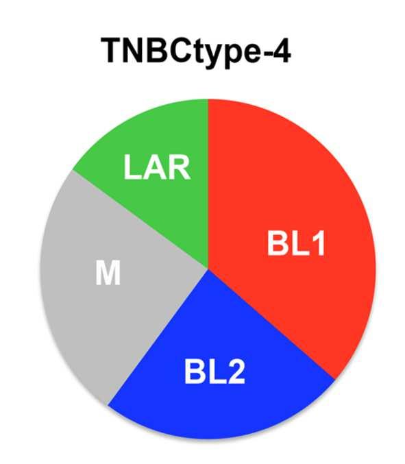 TNBC Zielgerichtete Therapieansätze Tumorimmunologie / Checkpoint-Inhibition