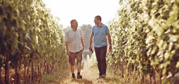 6 Tenuta Vallocaia Unser Weingut 30 Jahre Bindella-Weinbau in der Toskana.
