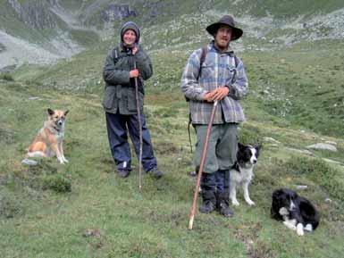 Graubünden Schafhaltung Risse Wolf 21-214 Anzahl Schafe Tierverluste anerkannt Fr.