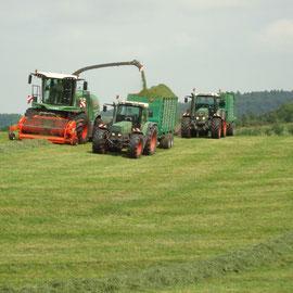 Häckselkette Top Modern und Leistungsfähig Fendt Katana 65 für