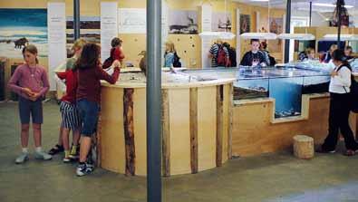 Angefangen 1963 im Biggerhus auf der Volkertswarft bis zur jetzigen 200- Quadratmeter-Ausstellung im Nationalpark- Seminarhaus auf der Hanswarft, die im April 2004 eröffnet wurde.
