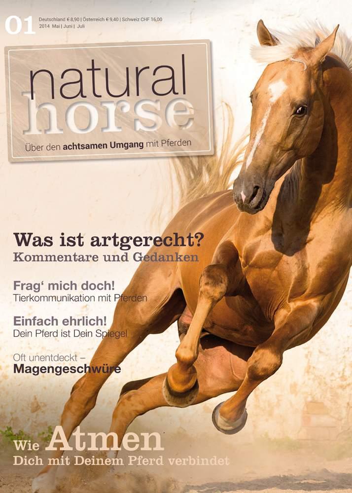 Natural Horse hilft zu Pferden eine tiefere Bindung aufzubauen und pferdisch zu