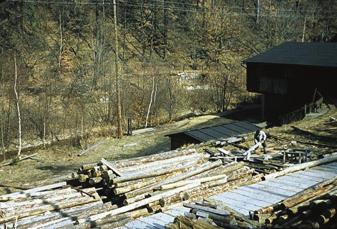 bis 1990 erhalten. Am 30. September 1990 wurde die 5500 Hektar große LPG Pflanzenproduktion Freundschaft Bad Gottleuba, Pächter der Bährmühle, aufgelöst. Sägewerk und Tischlerei wurden geschlossen.
