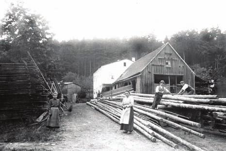 Alte Mühlen an der Gottleuba Seite 70 A+ S. FISCHER Abb. 3.55: Die Mühle von Oskar Irrgang als Sägewerk um 1920. Abb. 3.56: Die zum Wohnhaus umgebaute Irrgangmühle 2006.