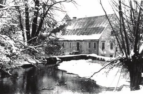 Der Wasserradantrieb wurde von Max Reibig 1919 auf Turbinenantrieb mit 5 m Gefälle umgestellt. 1934 betrieb sein Sohn Herbert die Mühle und die Bäckerei.