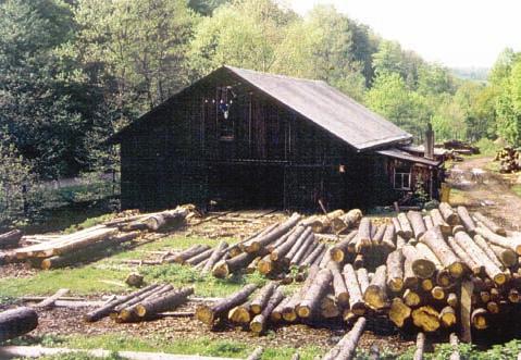 Das Wohnhaus des Försters übernahm der Staatliche Forstwirtschaftsbetrieb Königstein für den jeweiligen Förster.