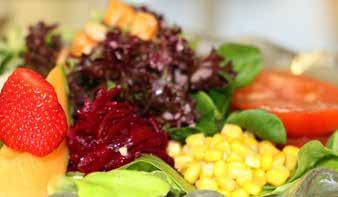 Fit-Hits Für Salatliebhaber Für Gemüseliebhaber Salatteller mit Ei 26.50 Gemüseteller mit Spiegelei 26.