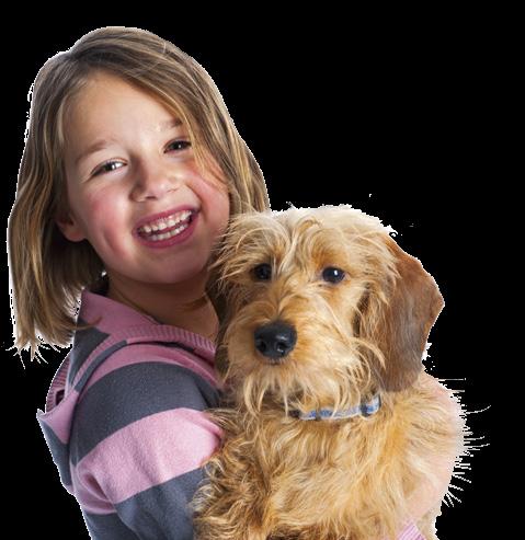 Kleine Kautablette mit großer Wirkung Eine schnelle und wirksame Behandlung von Zecken- und Flohbefall ist der beste Schutz für Ihren Hund und damit für Sie selbst.