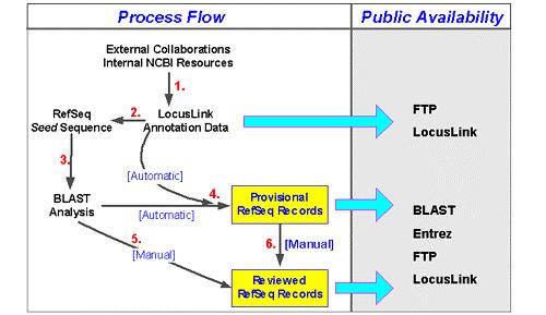 LocusLink Integrationsworkflow Quelle: www.ncbi.nlm.nih.gov/locuslink/build.