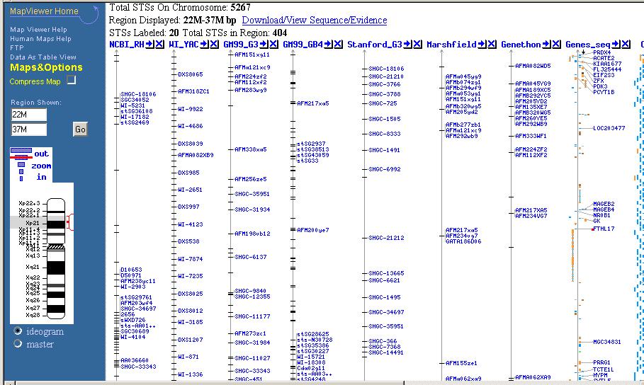 Beispiel Quelle: http://www.ncbi.nlm.nih.