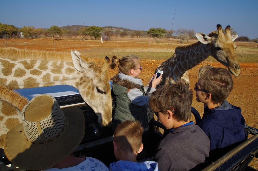 Namibia Familienreise 15-tägige Selbstfahrerreise für Familien mit Scharff Reiseleitung Entdecken Sie das wunderschöne Namibia zusammen mit Ihren Kindern.