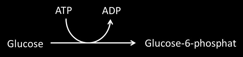 ATP: ADENOSINTRIPHOSPHAT Wird auf ein Molekül ein Phosphatrest übertragen, bedeutet das eine Erhöhung der Energie dieses Moleküls.