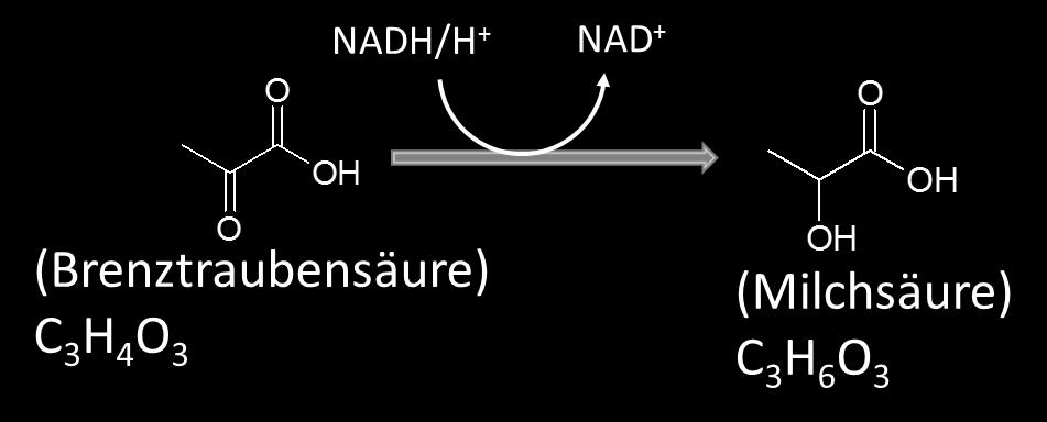 Dabei wird CO 2 abgespalten und 1 NADH/H + gebildet: b) Bei starker Belastung kommt es