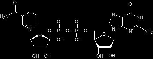 Anhang: Strukturen: ATP besteht aus der Base Adenin, aus einem Ribosemolekül und drei Phosphatresten.
