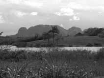 Film Nr.40 Wo die Havanna zu Hause ist Mini-DV, 16 Minuten 26 Kuba Pinar des Rio, im äußersten Westen der Insel, ist Kubas größtes Tabakanbaugebiet.
