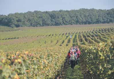 Im Rahmen des 10-jährigen Jubiläums des WeinWanderWochenendes feiert die Verbandsgemeinde Alzey-Land zusammen mit den Ortsgemeinden Bornheim, Flonheim und Lonsheim an diesen beiden Tagen die