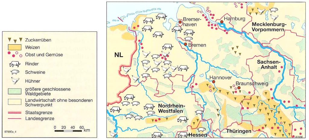 Landwirtschaft in Niedersachsen In Niedersachsen wird über die Hälfte der Landesfläche landwirtschaftlich genutzt.