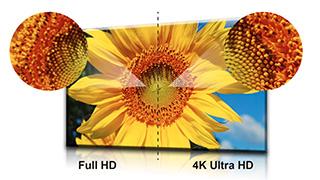 Pixel wie Displays mit Full-HD-Auflösung.