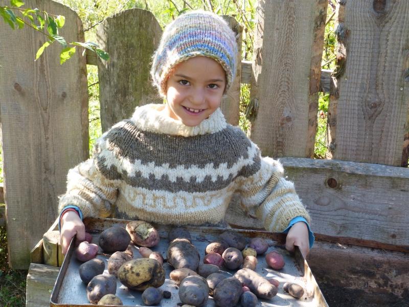 Auch bei der Kartoffelernte erleben die Kinder Vielfalt.